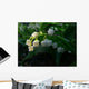 May-Flower Wall Mural