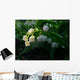 May-Flower Wall Mural