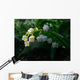 May-Flower Wall Mural