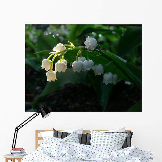 May-Flower Wall Mural