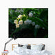 May-Flower Wall Mural