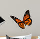 Monarch butterfly 