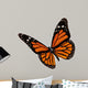 Monarch butterfly 