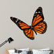Monarch butterfly 