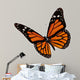 Monarch butterfly 
