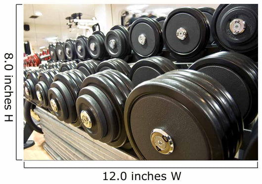 My weights Wall Mural