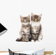 Two Small Kittens 
