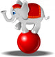 elephant on the ball Wall Decal