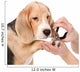 Person Cutting Dog Toenails 