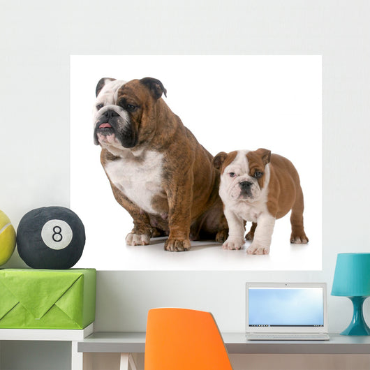 Dog Mother and Daughter 