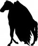Pegasus Wall Decal