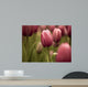 Tulips Wall Mural