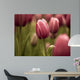 Tulips Wall Mural