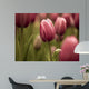Tulips Wall Mural