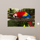 scarlet macaw 