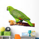 Amazon Parrot Wall Decal