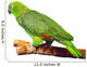 Amazon Parrot Wall Decal