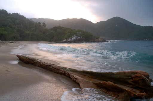 Tropical Coast Wall Decal Design 2