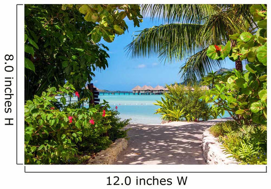 Holidays in Paradise 