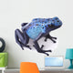 blue poison dart frog 
