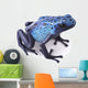 blue poison dart frog 