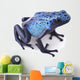 blue poison dart frog 