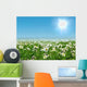 Field Daisies Wall Decal