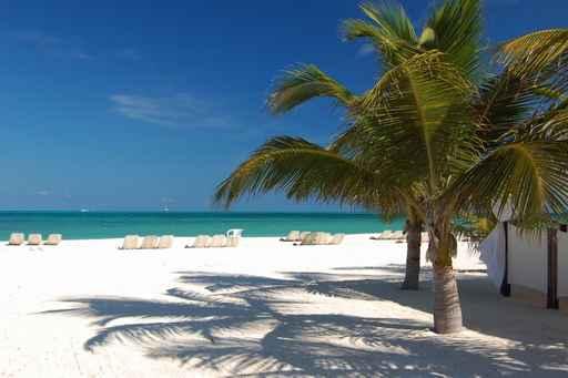 Beautiful Beach Passion Island Wall Decal Design 4