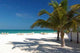 Beautiful Beach Passion Island Wall Decal Design 4