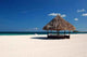 Beautiful Beach Passion Island Wall Decal Design 3