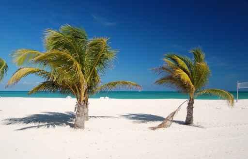 Beautiful Beach Passion Island Wall Decal Design 1