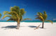Beautiful Beach Passion Island Wall Decal Design 1