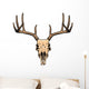 deer skull Wall Decal