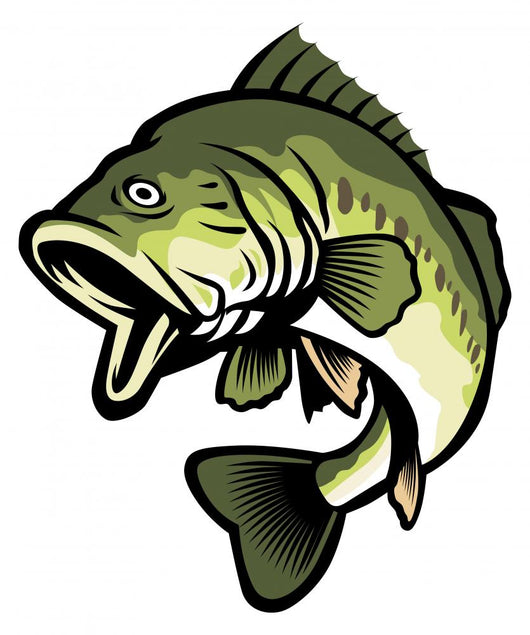 largemouth bass Wall Decal