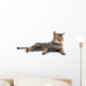Thai Cat 