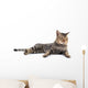 Thai Cat 