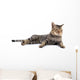 Thai Cat 