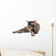 Thai Cat 