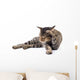 Thai Cat 