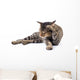 Thai Cat 