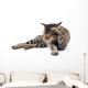 Thai Cat 