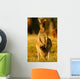 Western Grey Kangaroos Wall Mural
