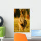 Western Grey Kangaroos Wall Mural