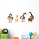duck Wall Mural