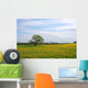 Oak tree on the Dandelion field Wall Mural