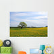 Oak tree on the Dandelion field Wall Mural