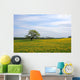 Oak tree on the Dandelion field Wall Mural