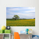 Oak tree on the Dandelion field Wall Mural