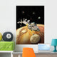 Space Travel Wall Decal