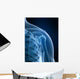 radiograph of the shoulder Wall Mural